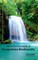 Advanced Concepts of Ecosystems Biodiversity