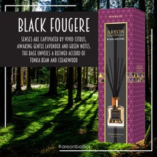 Kvapniosios lazdelės AREON MOSAIC Black Fougere 85 ml