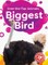 Biggest Bird
