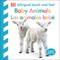 Bilingual Touch and Feel: Baby Animals / Bebes de Animales