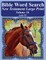 Bible Word Search New Testament Large Print Volume 16