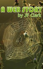 Web Story