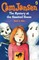 Cam Jansen: The Mystery at the Haunted House #13