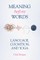 Meaning Before Words