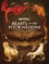 Beasts of the Four Nations: Creatures from Avatar: The Last Airbender and The Legend of Korra