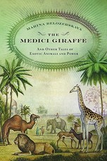 The Medici Giraffe