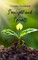 Sunlight and Sprouts