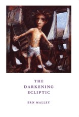 The Darkening Ecliptic