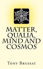 Matter, Qualia, Mind and Cosmos