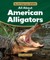 All about American Alligators