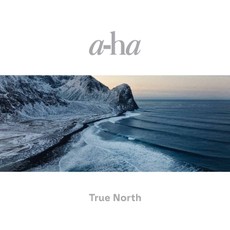 Vinilinė plokštelė LP A-HA „True North“ (2LP)
