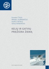 Kelių ir gatvių priežiūra žiemą