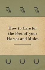 How to Care for the Feet of Your Horses and Mules