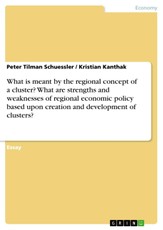 What is meant by the regional concept of a cluster? What are strengths and weaknesses of regional economic policy based upon creation and development of clusters?