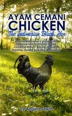 Ayam Cemani Chicken - The Indonesian Black Hen. A complete owner's guide to this rare pure black chicken breed. Covering History, Buying, Housing, Feeding, Health, Breeding & Showing.