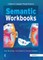 Semantic Workbooks