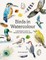 Birds in Watercolour