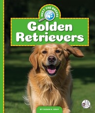 Golden Retrievers