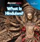 What Is Hinduism?