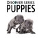 Puppies