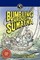 Bumbling Through Sumatra