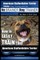 American Staffordshire Terrier Training, Dog Training with the No Brainer Dog Trainer We Make It That Easy!