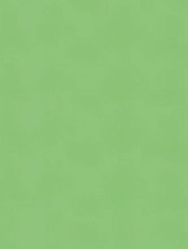 Spalvotas kartonas A1/160g šv.žalias