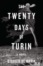 The Twenty Days of Turin: A Novel