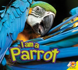 Parrot