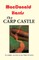 The Carp Castle