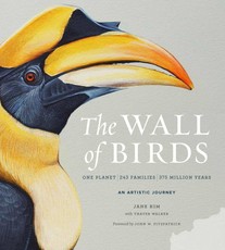 Kim, J: Wall of Birds