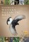 Handbook of Western Palearctic Birds, Volume 1