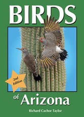 Birds of Arizona