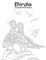 Birds Coloring Book for Grown-Ups 1