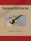 Fingerpicking EADEAE Guitar Solo