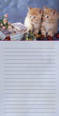 Bloknotas su magnetu. Kačiukai