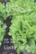 Lettuce Cultivation