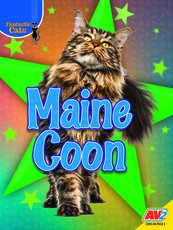 Maine Coon