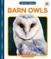 Barn Owls