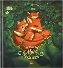 GERIAUSIA MAMA PASAULYJE: gėrio ir grožio kupina knyga vaikams apie mamas