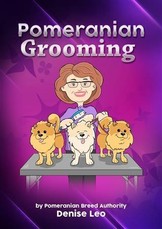 Pomeranian Grooming