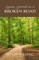 Lessons Learned on a Broken Road