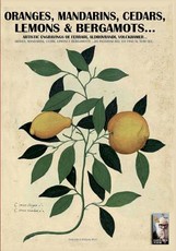 Oranges, mandarins, cedars, lemons & bergamots..