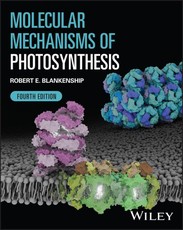 Molecular Mechanisms of Photosynthesis