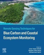 Remote Sensing Techniques for Blue Carbon and Coastal Ecosystem Monitoring
