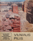 Vilniaus pilis