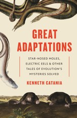 Great Adaptations