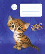 Holly Webb sąsiuvinis Tigras, 12 l., langučiais