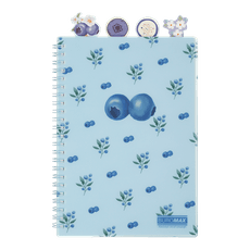 Sąsiuvinis su spirale, plast.viršeliu ir 4 skirtukais ARABESKI  A5 80lap., lang.melsvas