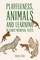 Playfulness, Animals and Learning in Early Medieval Texts